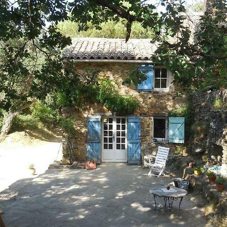 Villa la Bergerie La Garde-Freinet Exterior foto