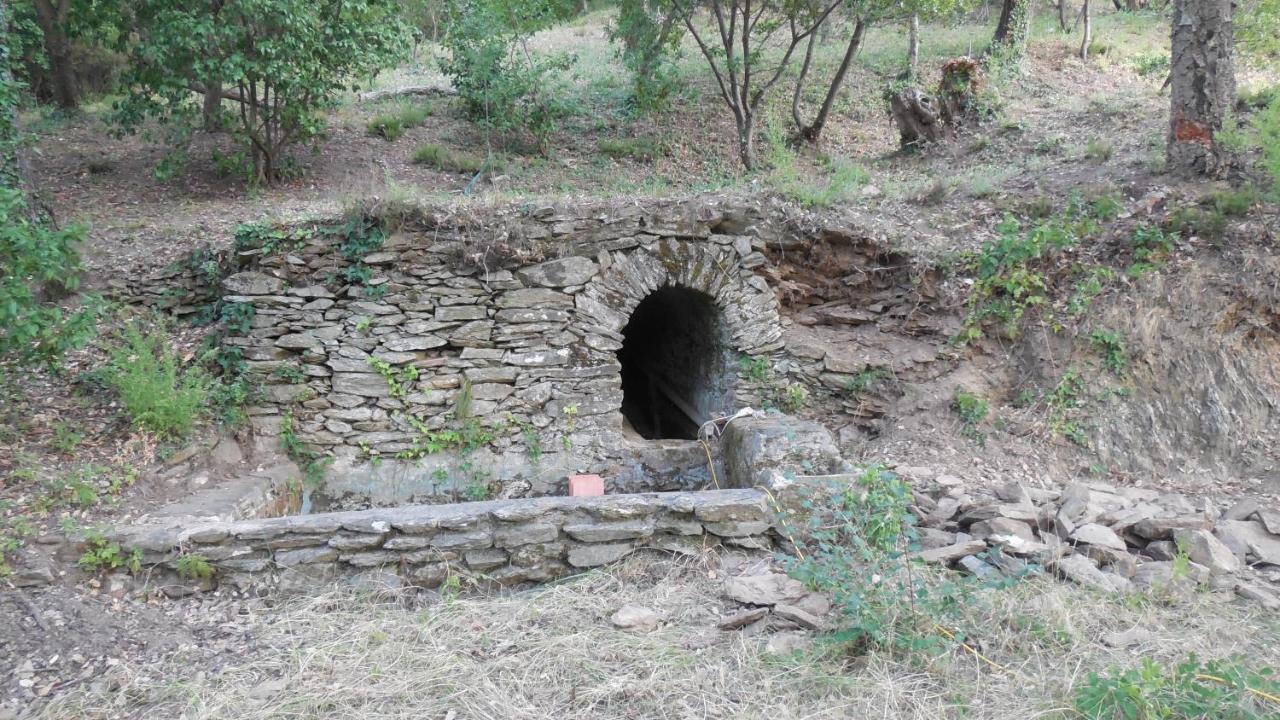 Villa la Bergerie La Garde-Freinet Exterior foto