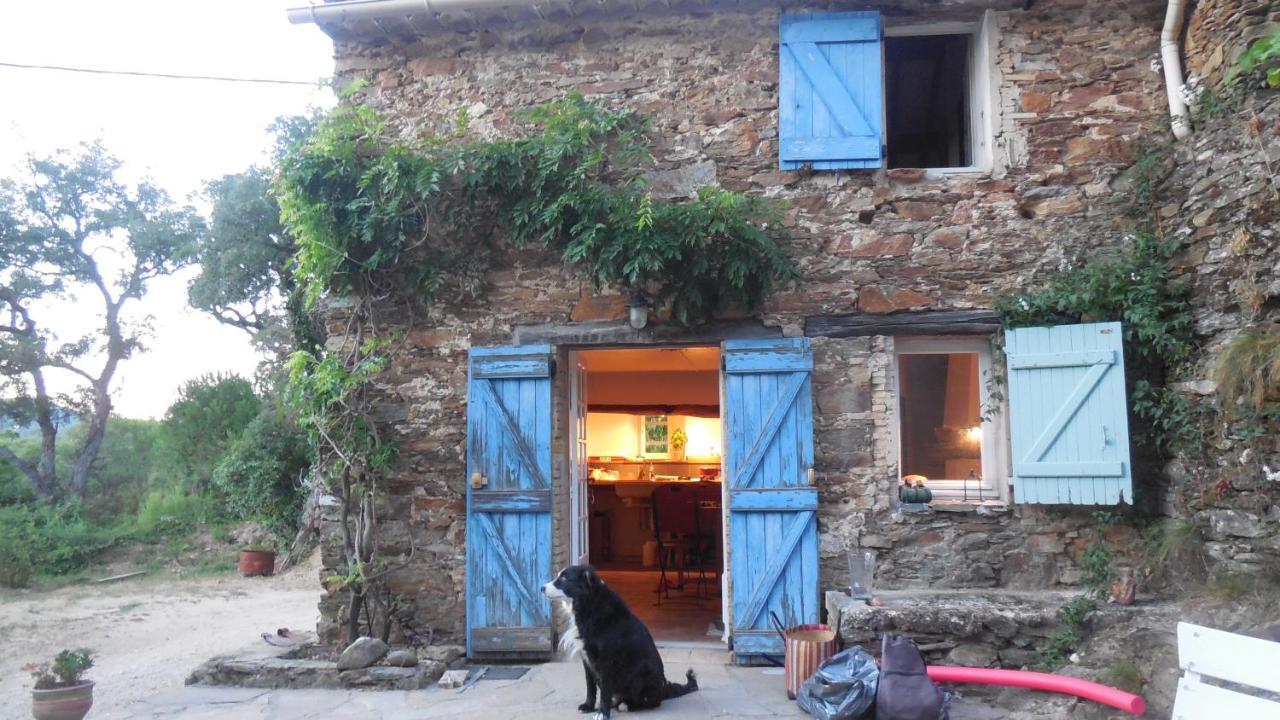 Villa la Bergerie La Garde-Freinet Exterior foto